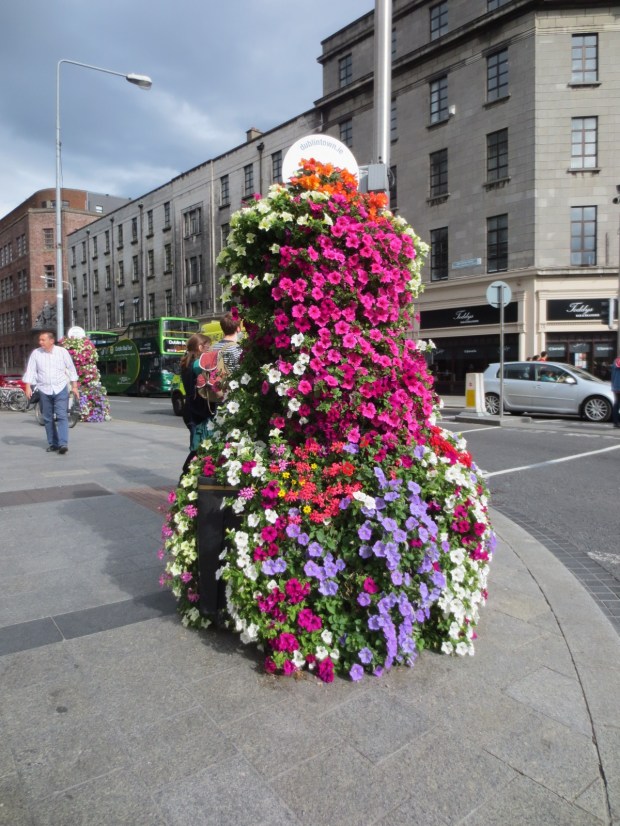 The city is kept in colours