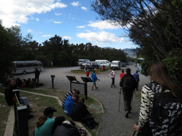 The absolute best car park I have ever seen!