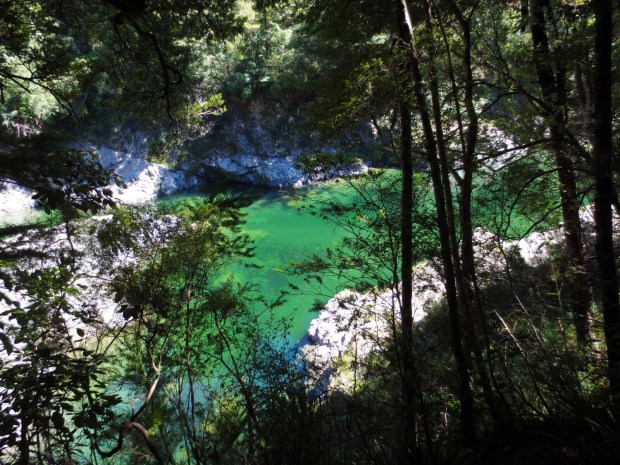 The Pelorus River - where parts of The Hobbit were filmed. It was actually happenstance that I came across it.