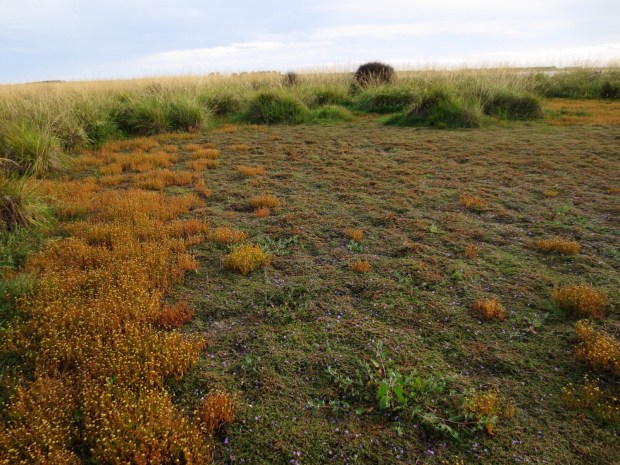 Beautiful colours caught my eye