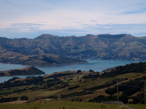 Fantastic view right off the road to Akaroa