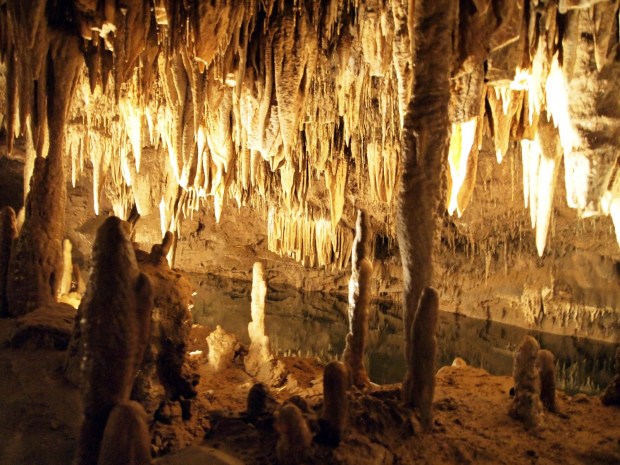 Aranui Cave - absolutely beautiful formations and really impressive in places. (Copyright Waitomo Glow Worm Caves)
