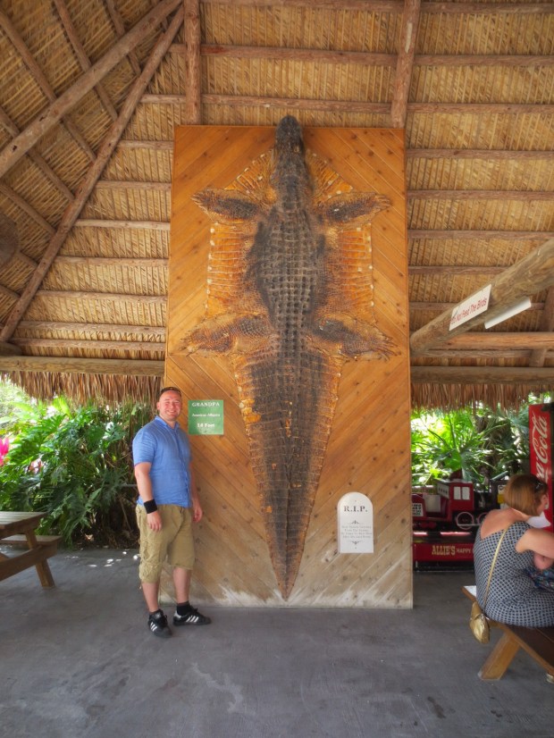 Grandpa, huge freakin' alligator, now dead and skinned...