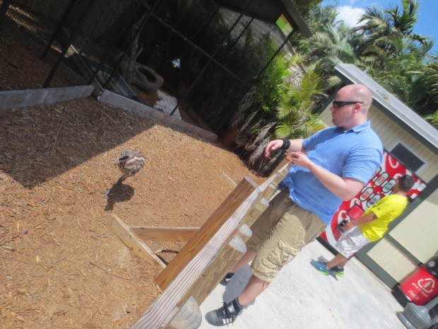 Come here, bird... Food... Right here...