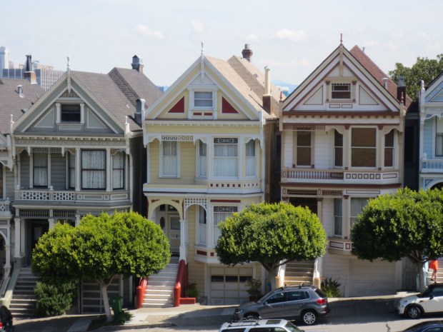 Closeup of the Painted Ladies