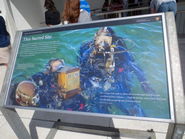 Quotes from the divers