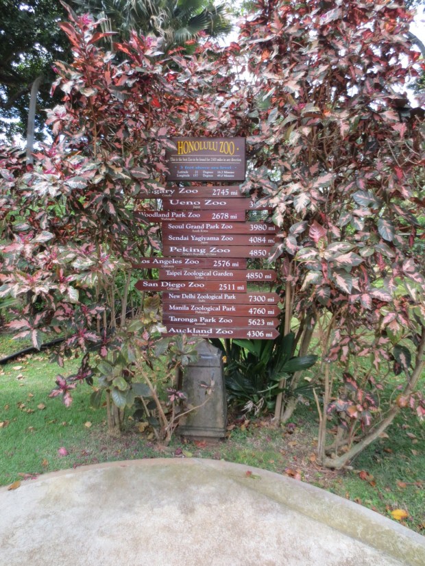 If you'd like to go to another zoo... Like Auckland. Quick trip.