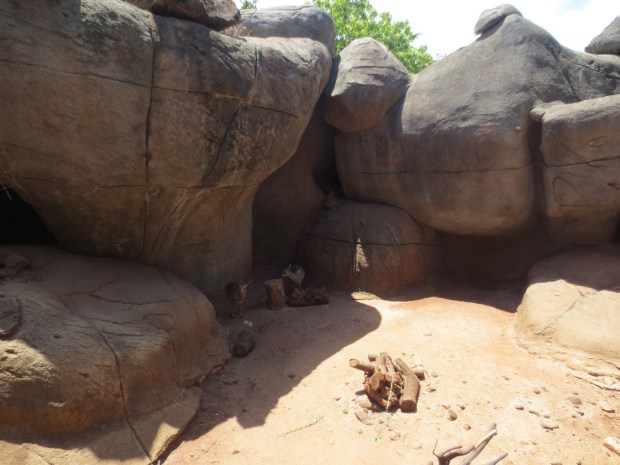 Cliffleaper? Rockclimbers? I call them goats.