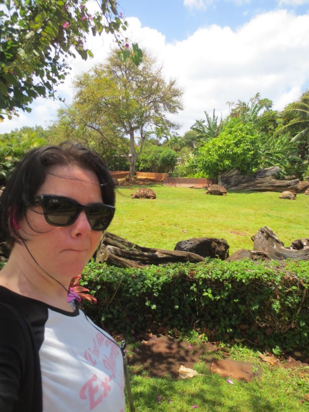 Check these guys out...