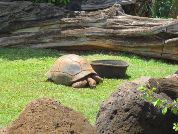 "Dude, I'm like a million years old..."