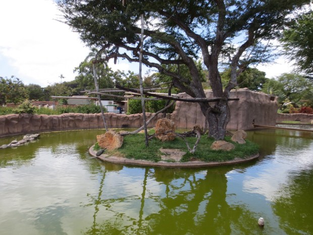 Water as a psychological barrier