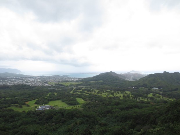 wish I had a better camera...