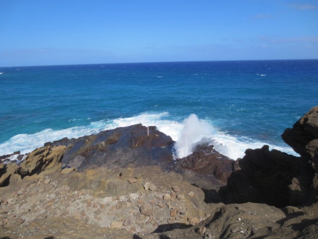 The Blowhole