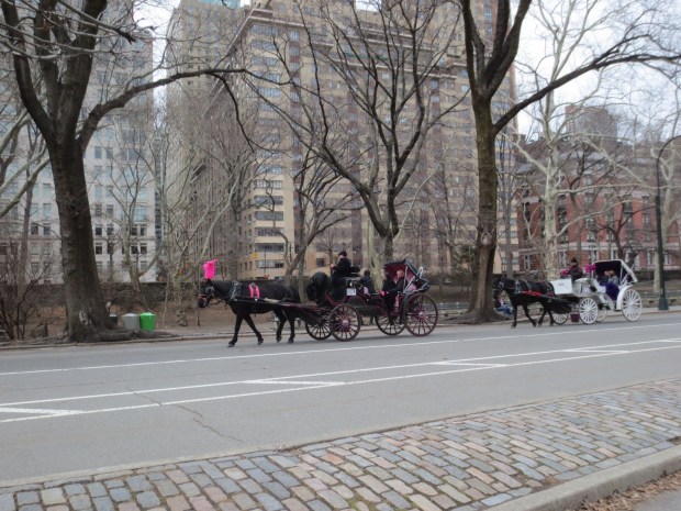 A 20 minute trip costs about 50 bucks. I didn't go on one, but they are talking about removing the horse and carriage-thing so if you want to, you should hurry.