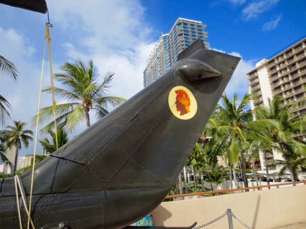 The Hawaiian Ornamentet Cobra :-D (Hawaiian Army National Guard Insignia)