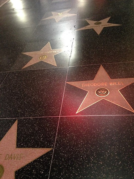 Stars, stars everywhere...