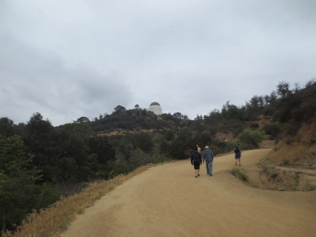 Must climb, hobbitses