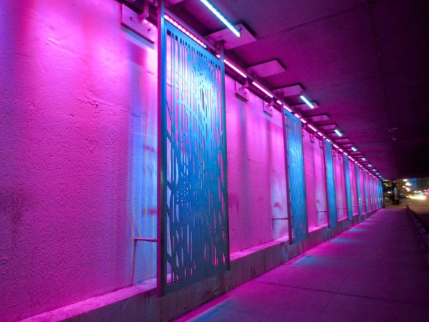 They know how to decorate...