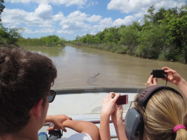 Get out of the way, gator! "Yeah, yeah..."