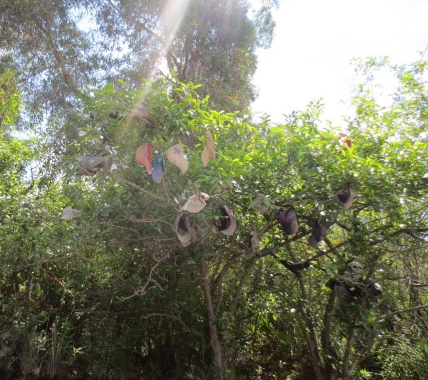 "Hold on to your hats, we get quite a few of them every day."