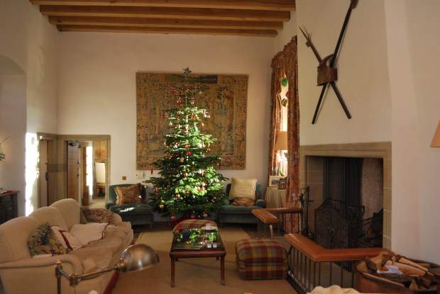 The Great Hall with the fantastic Christmas tree