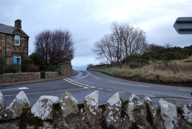 Exploring the surrounding area...