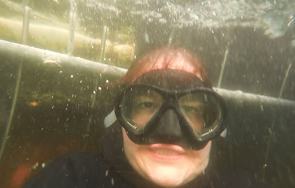 Mossel Bay Shark Cage Diving