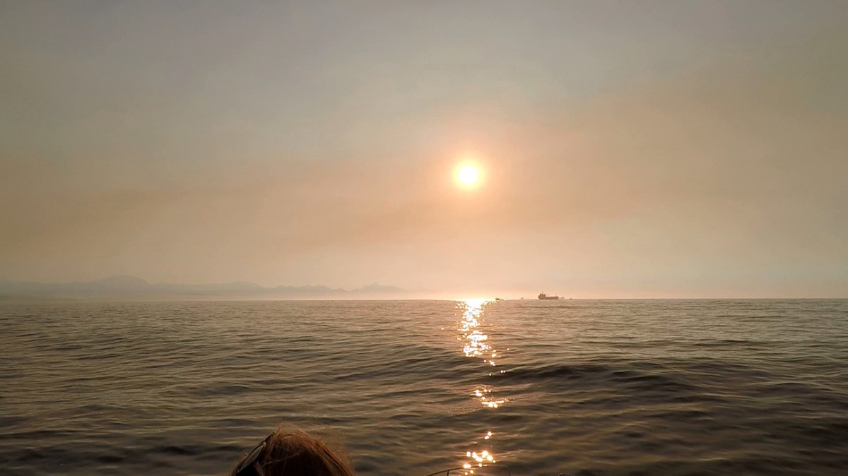 "Waiting for a shark in sunrise"