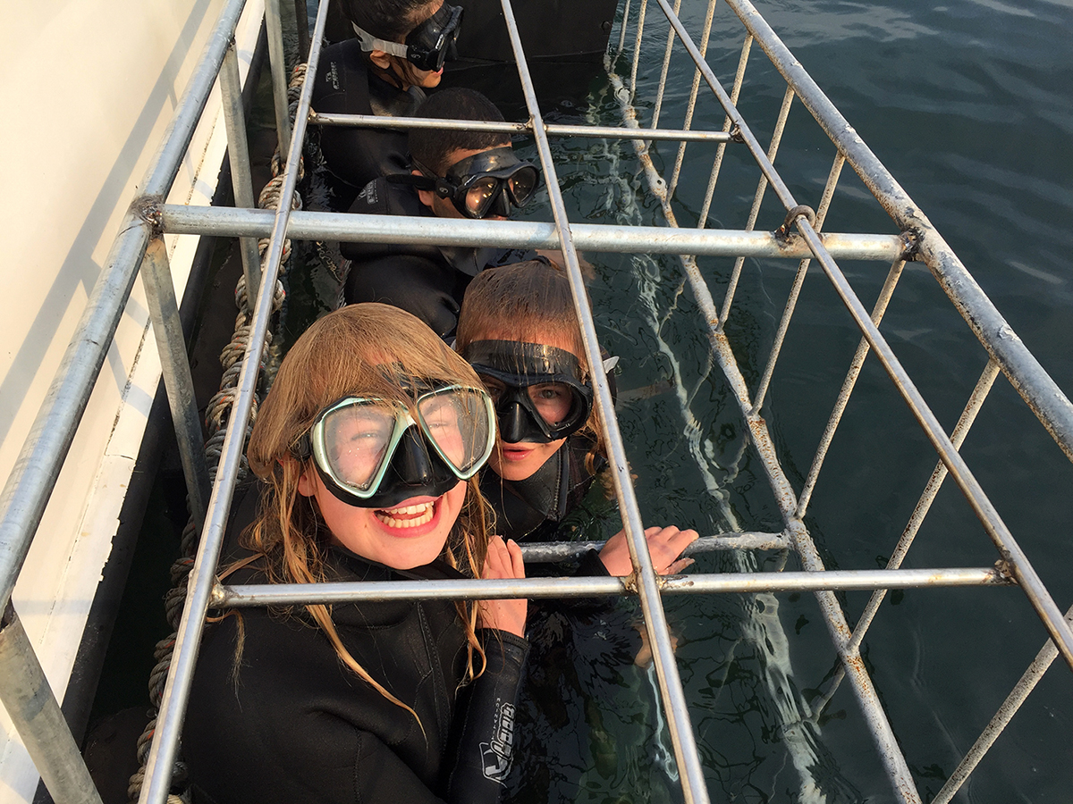 My new friends as shark bait