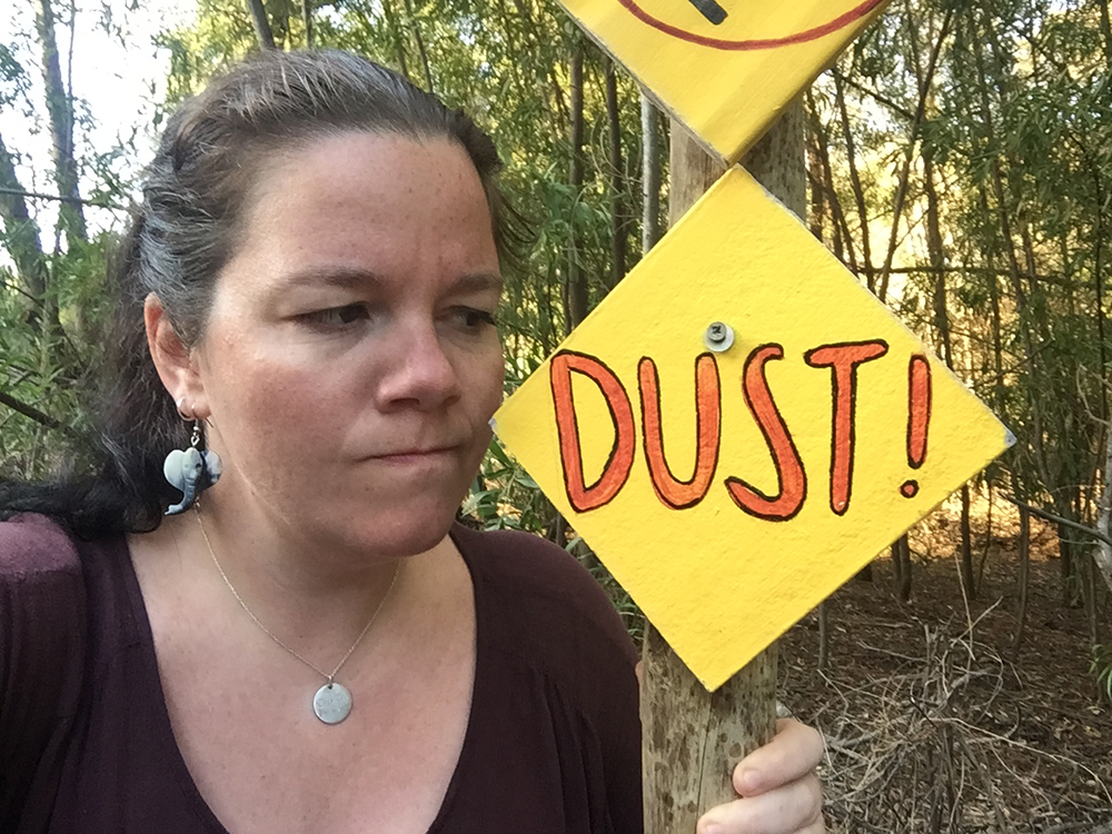 "Dust" pretty much means "Idiot" in Norwegian...