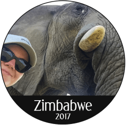 sirkel_zimbabwe_elefant
