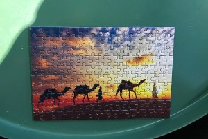 We did a puzzle