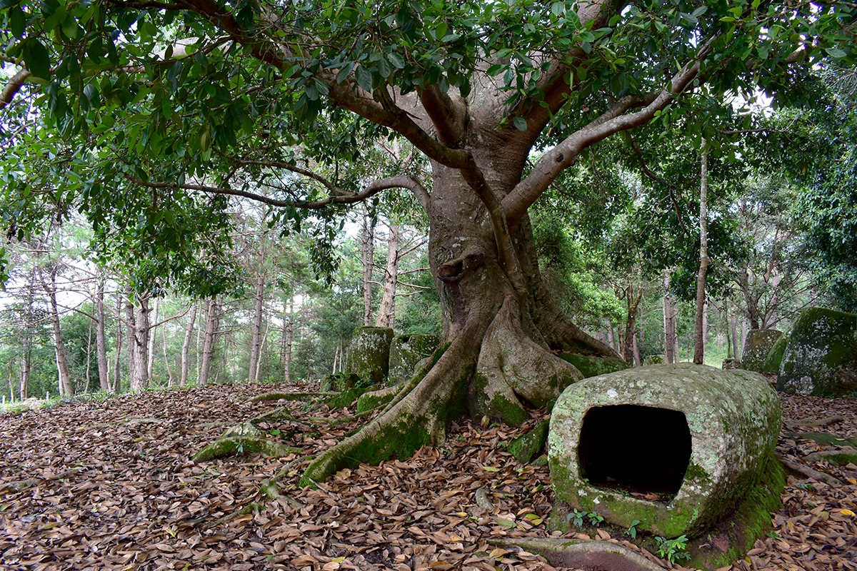 Lord of the Rings Phonsavan Edition